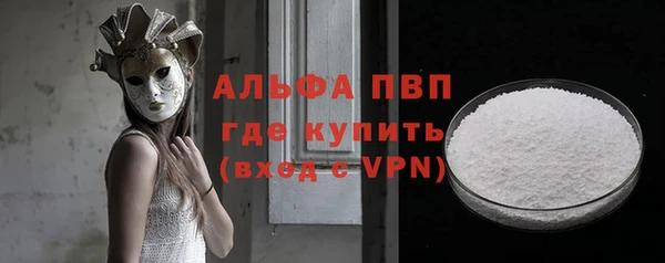 индика Заводоуковск