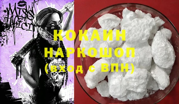 кокс Алексин
