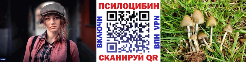 Галлюциногенные грибы GOLDEN TEACHER  нарко площадка состав  Чистополь  мега зеркало 