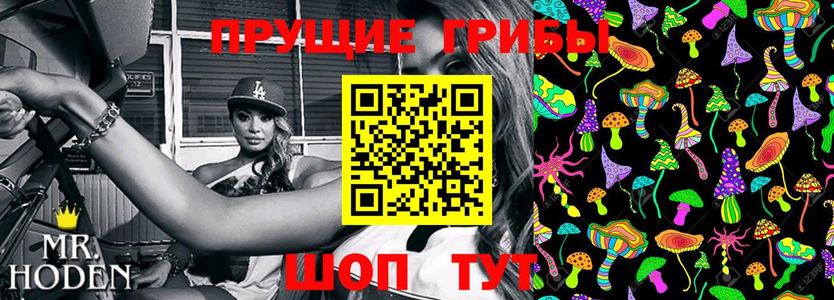 Псилоцибиновые грибы Cubensis  Вход с VPN  Чистополь 