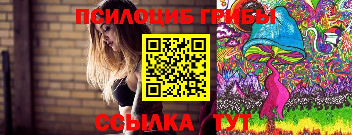 Галлюциногенные грибы Psilocybe Чистополь